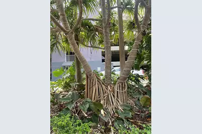 850 N Miami Ave #W-1808, Miami, FL 33136 - Photo 33
