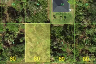 14116 Mary Jo Ave, Port Charlotte, FL 33953 - Photo 1