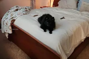 2431 SW 82nd Ave, Davie, FL 33324 - Photo 13