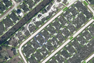 3154 Oregon Pl, Lake Placid, FL 33852 - Photo 1