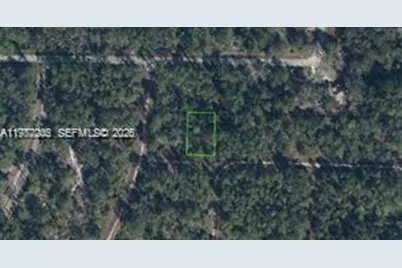 3215 Delafield, Lake Placid, FL 33852 - Photo 1