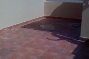 2945 Coconut Ave, Miami, FL 33133 - Photo 23