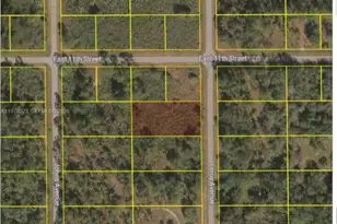 1021 Leroy Ave, Lehigh Acres, FL 33972 - Photo 1