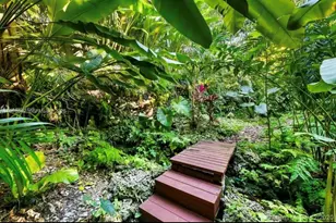 4895 SW 88th St, Miami, FL 33156 - Photo 7