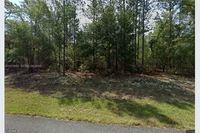 208 W Ruska Pl, Citrus Springs, FL 34434 - Photo 1