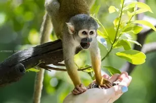 302 NW 11th Ct, Florida City, FL 33034 - Photo 83