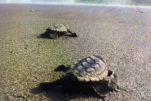 19670 Beach Rd, Tequesta, FL 33469 - Photo 39