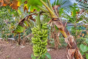 2431 Mayo St, Hollywood, FL 33020 - Photo 13