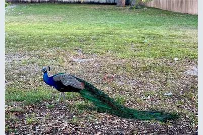 2630 SW 28th #1, Miami, FL 33133 - Photo 25