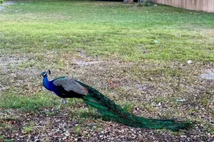 2630 SW 28th, Miami, FL 33133 - Photo 25