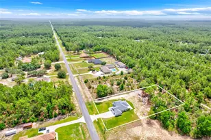 13822 SW 61st Place Rd, Ocala, FL 34481 - Photo 47