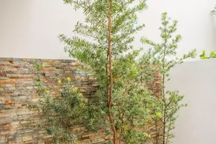 6436 NW 104th Ct, Doral, FL 33178 - Photo 19