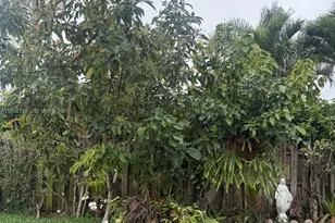 1251 SW 11th Terrace, Boca Raton, FL 33486 - Photo 51