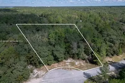 174 Street, Ocala, FL 34473 - Photo 5