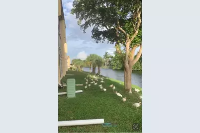 8305 Sunrise Lakes Blvd #103, Sunrise, FL 33322 - Photo 5