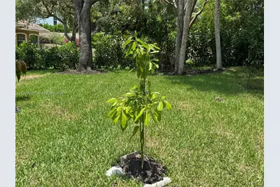 1740 Ludlow Rd #1740, Marco Island, FL 34145 - Photo 57