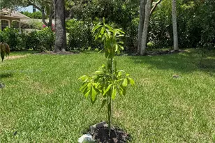 1740 Ludlow Rd, Marco Island, FL 34145 - Photo 57