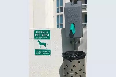 2900 NE 7th Ave #3705, Miami, FL 33137 - Photo 19