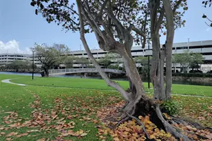 7340 SW 82nd St, Miami, FL 33143 - Photo 23