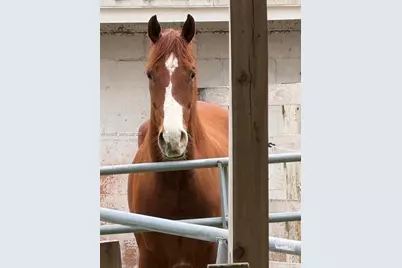 5100 SW 64th Ave #202, Davie, FL 33314 - Photo 17