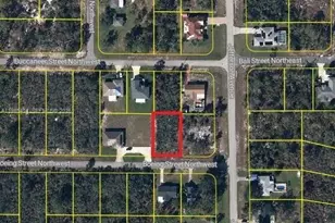 101 Boeing St Street NW, Lake Placid, FL 33852 - Photo 1