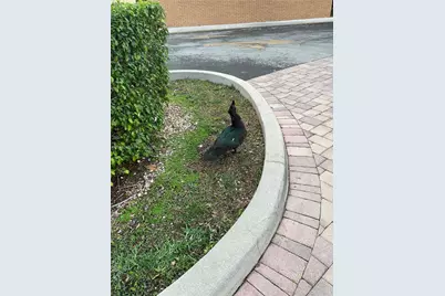 [Address not provided], Hallandale Beach, FL 33009 - Photo 23