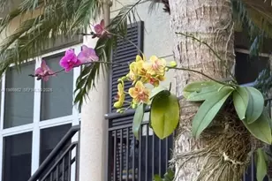 2625 NE 14th Ave, Wilton Manors, FL 33334 - Photo 45