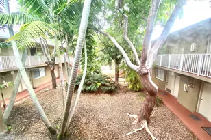 6330 SW 79th St, South Miami, FL 33143 - Photo 9