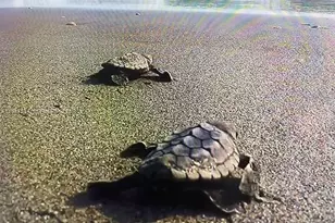 19670 Beach Rd, Tequesta, FL 33469 - Photo 45