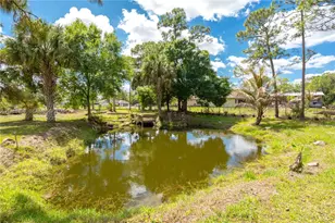 17075 Orange Grove Blvd, Loxahatchee, FL 33470 - Photo 45