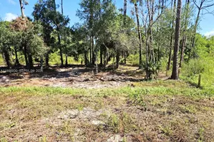 881 Woodland Blvd, Clewiston, FL 33440 - Photo 29