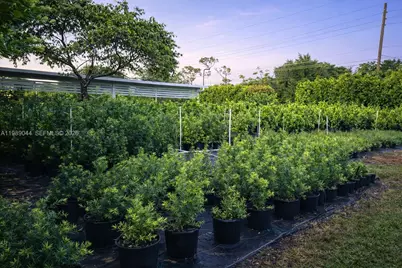 28000 SW 157th Ave, Homestead, FL 33033 - Photo 3