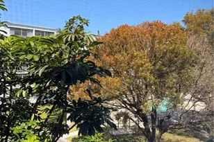 218 NE 12th Ave, Hallandale Beach, FL 33009 - Photo 17