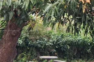 1043 NE 114th St, Biscayne Park, FL 33161 - Photo 5