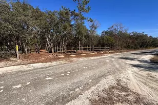 34349 Manuel St, Other City - In The State Of Florida, FL 33597 - Photo 1