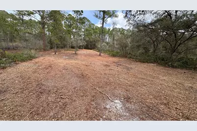 34349 Manuel St, Other City - In The State Of Florida, FL 33597 - Photo 5