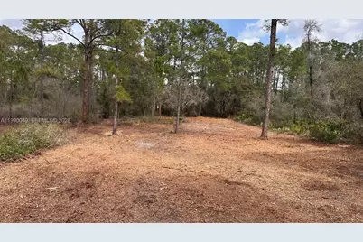 34349 Manuel St, Other City - In The State Of Florida, FL 33597 - Photo 3