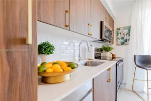 1005 Spring Garden Rd, Miami, FL 33136 - Photo 11