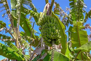 26500 SW 167th Ave, Homestead, FL 33031 - Photo 63