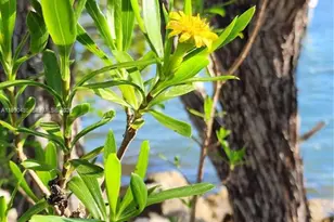 15585 SW 76th Ln, Miami, FL 33193 - Photo 47