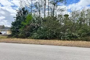 459 Greenbriar Blvd, Lehigh Acres, FL 33972 - Photo 1