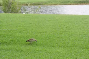 15065 SW 108 Te, Miami, FL 33196 - Photo 11