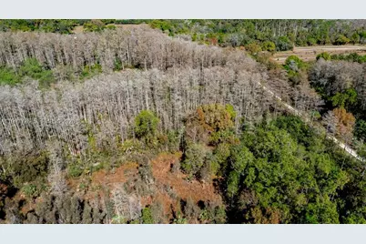 900 G Rd, Labelle, FL 33935 - Photo 15