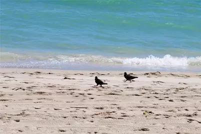 2030 S Ocean Dr #821, Hallandale Beach, FL 33009 - Photo 41