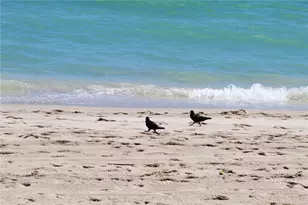 2030 S Ocean Dr, Hallandale Beach, FL 33009 - Photo 41