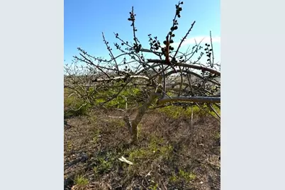 25201 SW 198th Ave, Homestead, FL 33031 - Photo 21