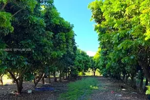 25201 SW 198th Ave, Homestead, FL 33031 - Photo 25