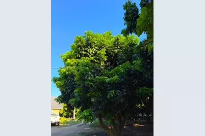 25201 SW 198th Ave, Homestead, FL 33031 - Photo 19