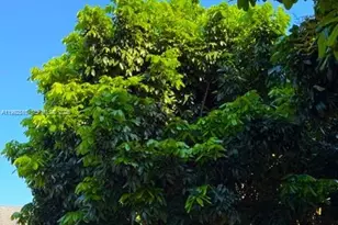 25201 SW 198th Ave, Homestead, FL 33031 - Photo 19