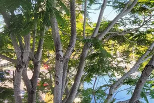 3401 N Country Club Dr, Aventura, FL 33180 - Photo 7